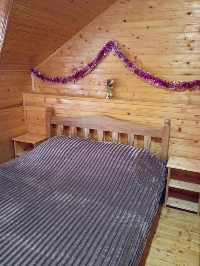 Holiday Home Melodiya Karpat Jaremcze Zewnętrze zdjęcie