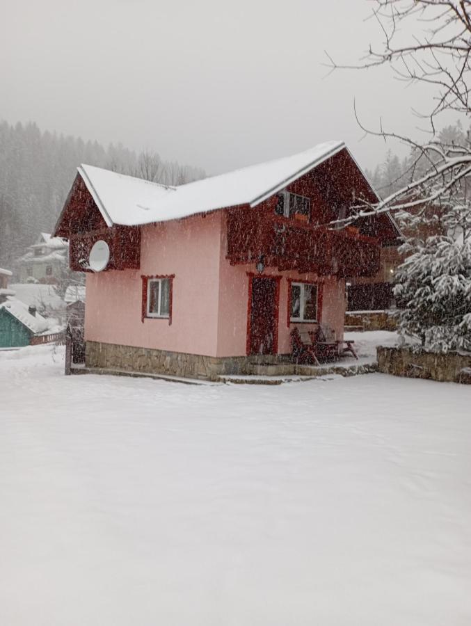 Holiday Home Melodiya Karpat Jaremcze Zewnętrze zdjęcie